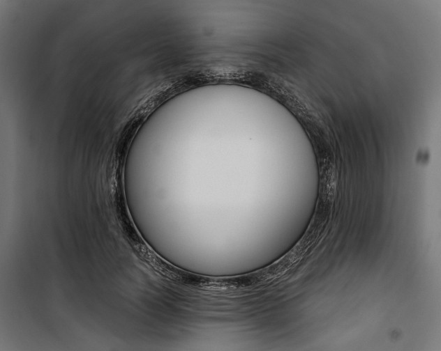 X0000100880746200806201146