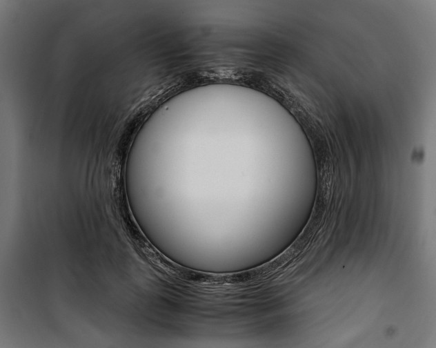 X0000100880747200806201146