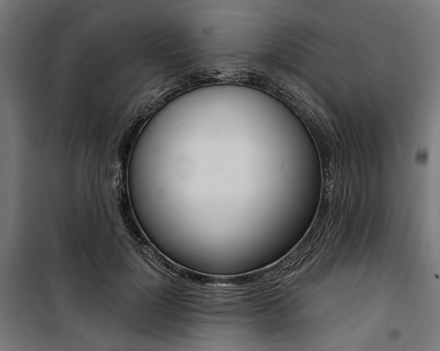 X0000100880748200806201146