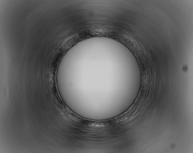 X0000100880749200806201146