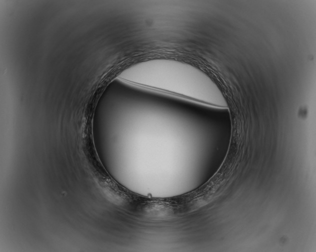 X0000100880750200806201146
