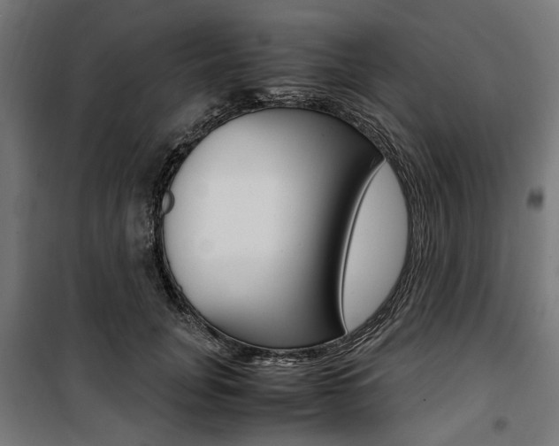 X0000100880751200806201146