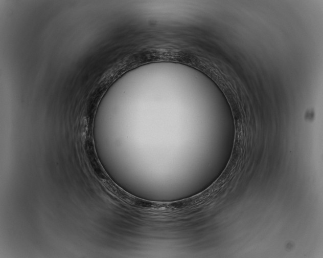 X0000100880752200806201146
