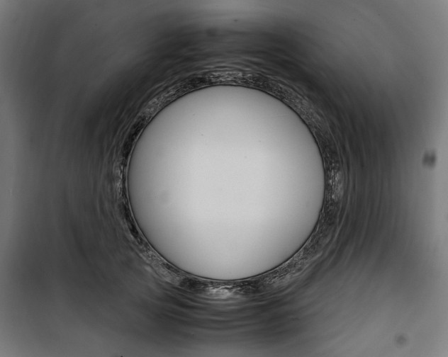 X0000100880753200806201146