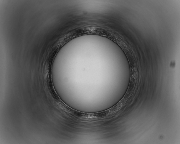 X0000100880754200806201146