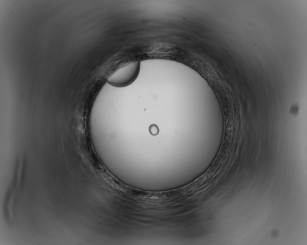 X0000100880755200806201146