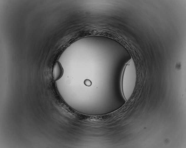 X0000100880756200806201146
