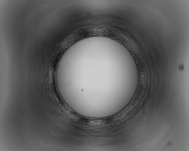 X0000100880757200806201146
