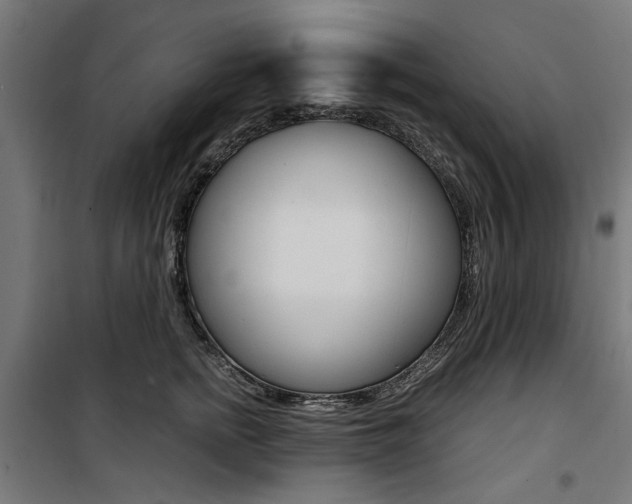 X0000100880758200806201146