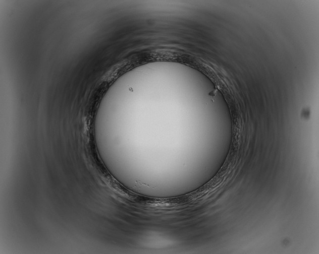 X0000100880759200806201146