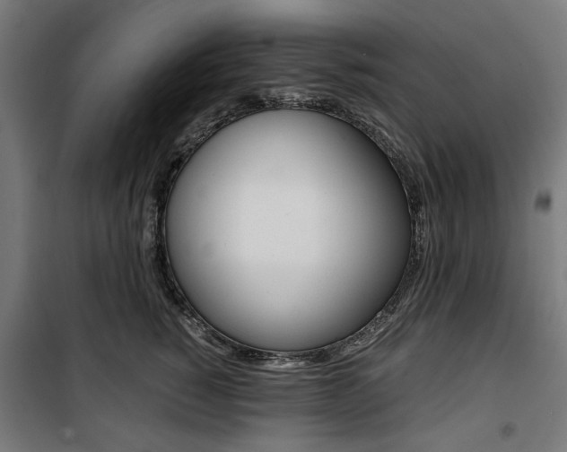 X0000100880760200806201146