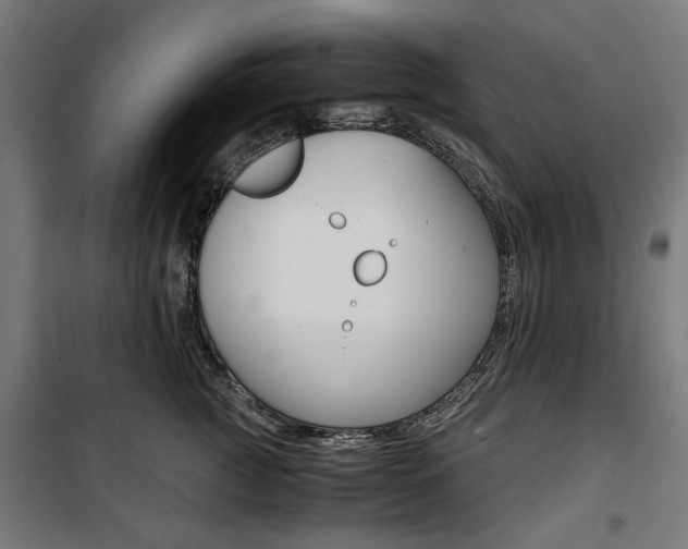 X0000100880761200806201146