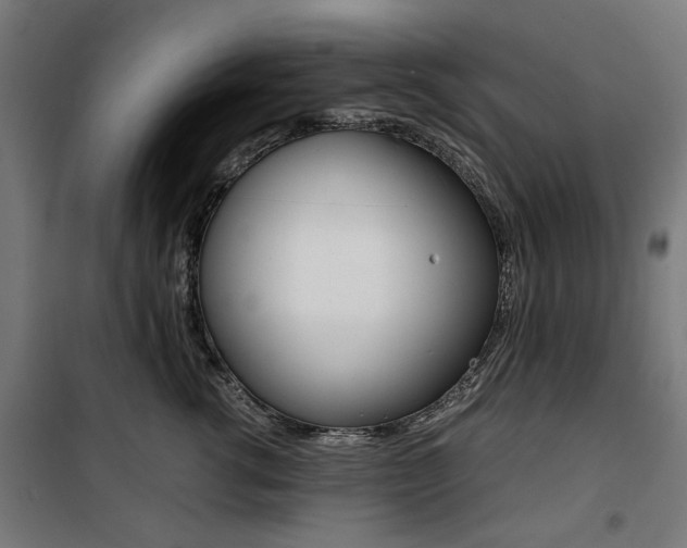 X0000100880762200806201146