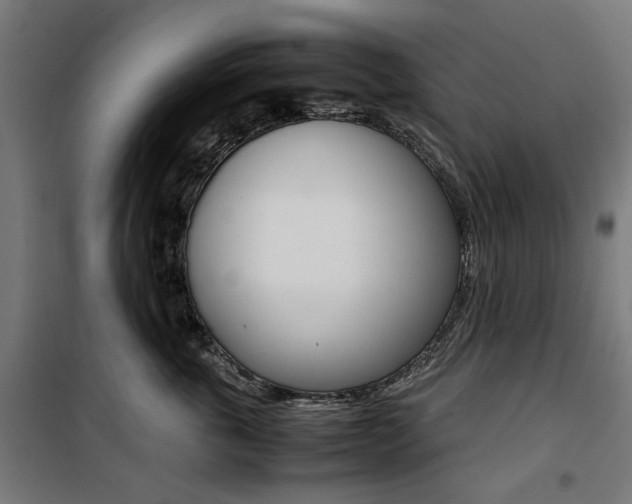 X0000100880763200806201146