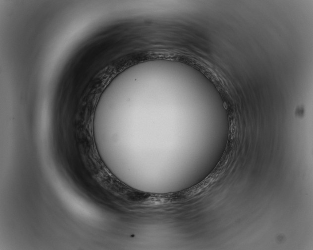X0000100880764200806201146