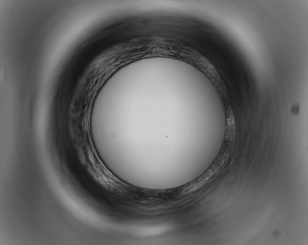 X0000100880765200806201146
