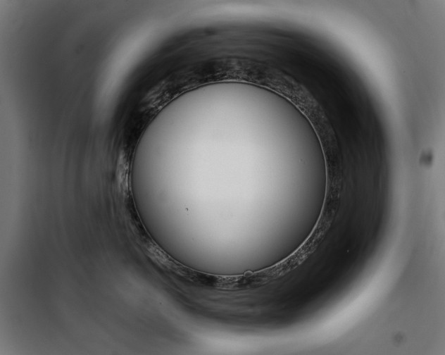 X0000100880766200806201146