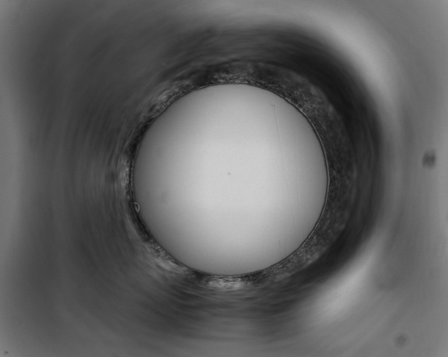 X0000100880767200806201146