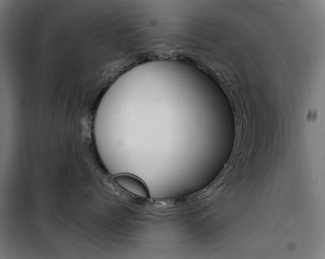X0000100880768200806201146