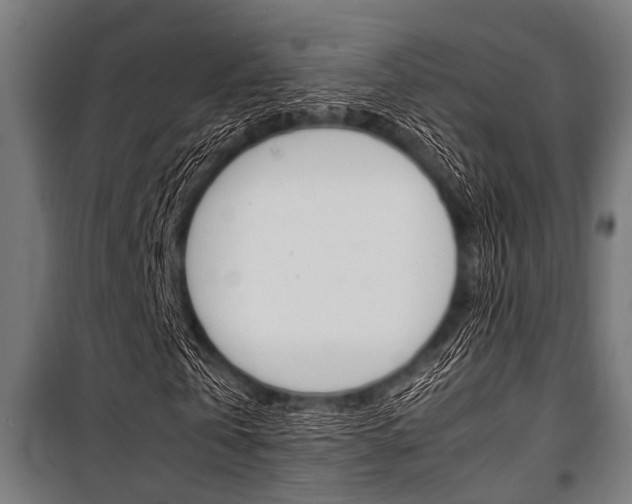 X0000100880769200806201146