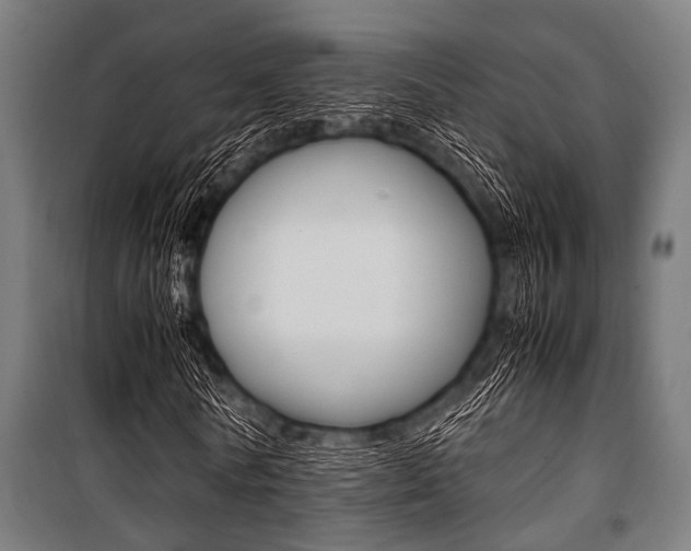 X0000100880770200806201146