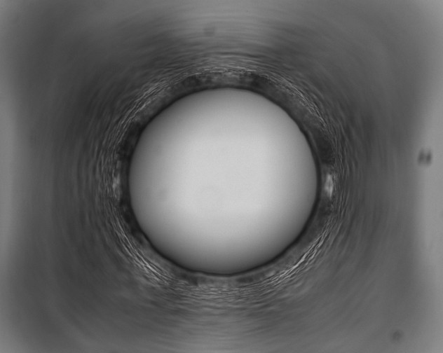 X0000100880771200806201146