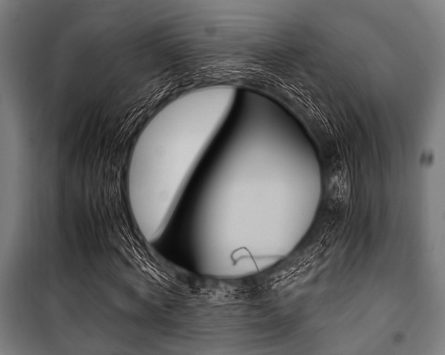 X0000100880772200806201146