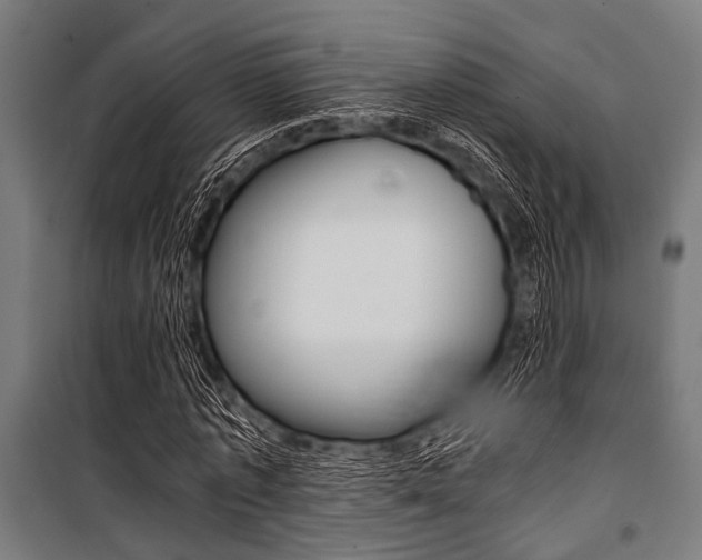 X0000100880773200806201146