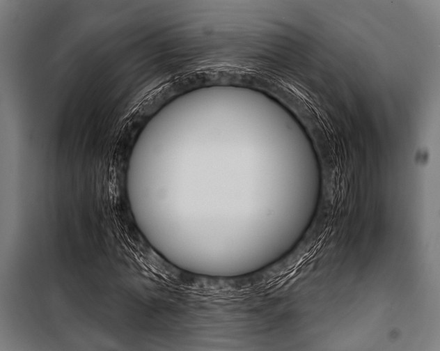 X0000100880774200806201146