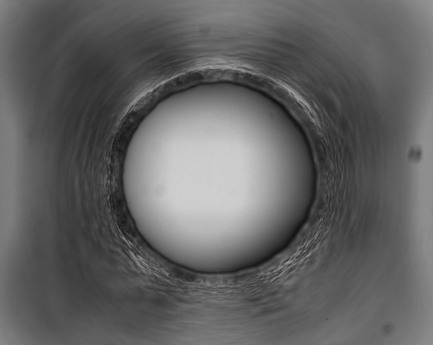 X0000100880775200806201146