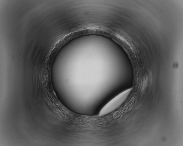 X0000100880776200806201146