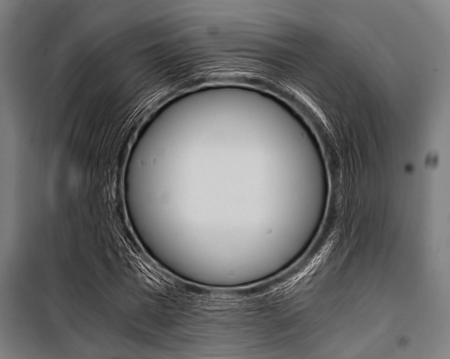 X0000100880777200806201146