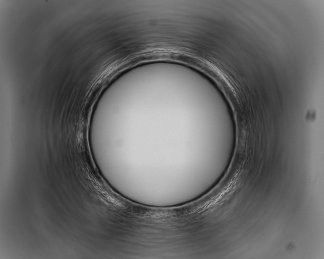 X0000100880778200806201146