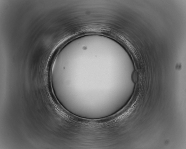 X0000100880779200806201146