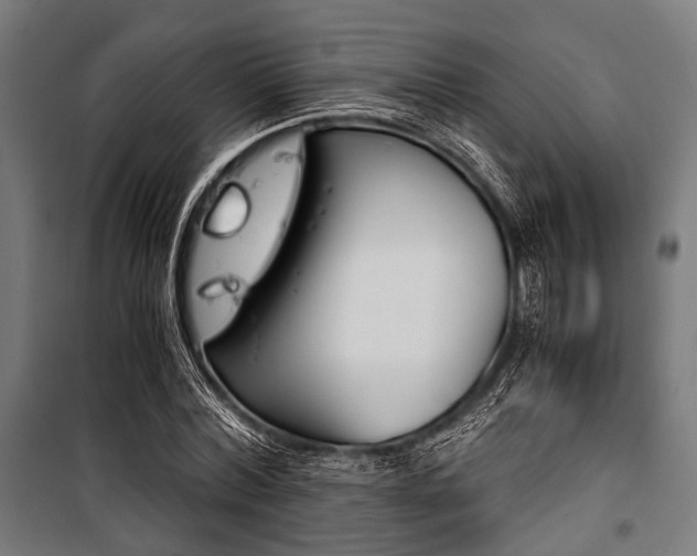 X0000100880780200806201146