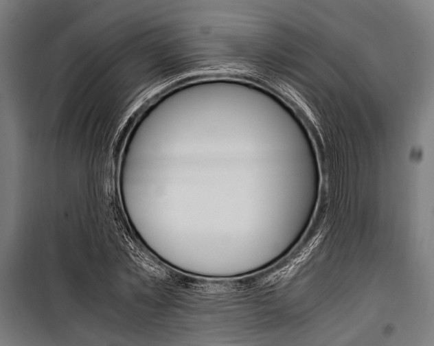 X0000100880781200806201146