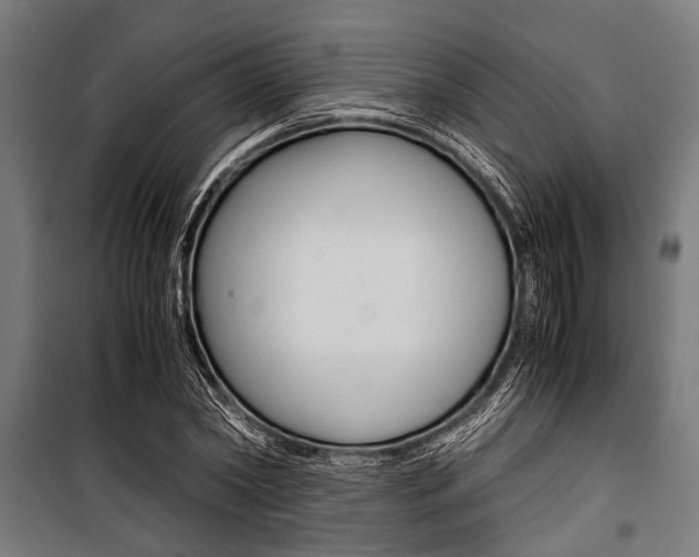 X0000100880782200806201146