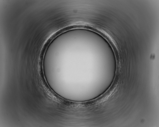 X0000100880783200806201146
