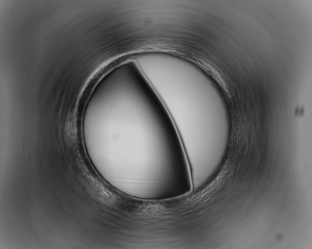 X0000100880784200806201146