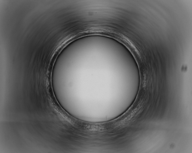 X0000100880786200806201146