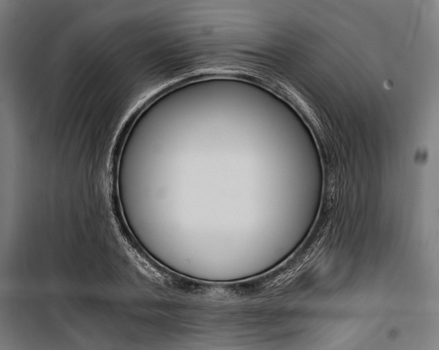 X0000100880787200806201145