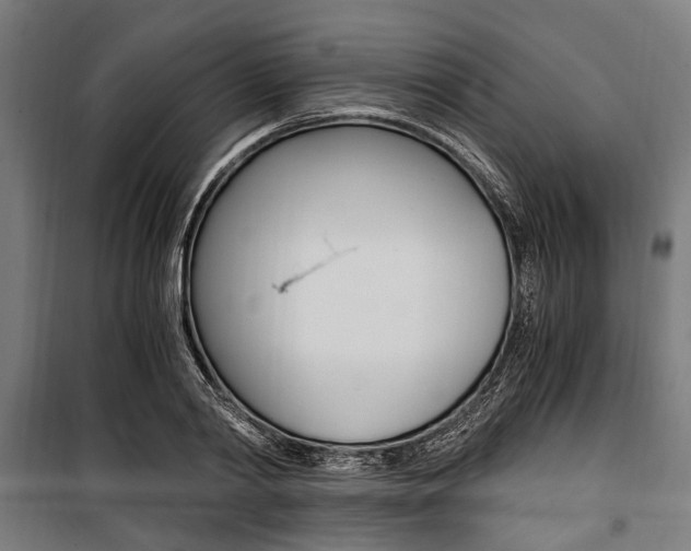 X0000100880790200806201145
