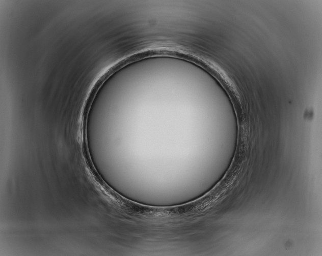 X0000100880791200806201145