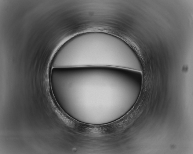 X0000100880792200806201145