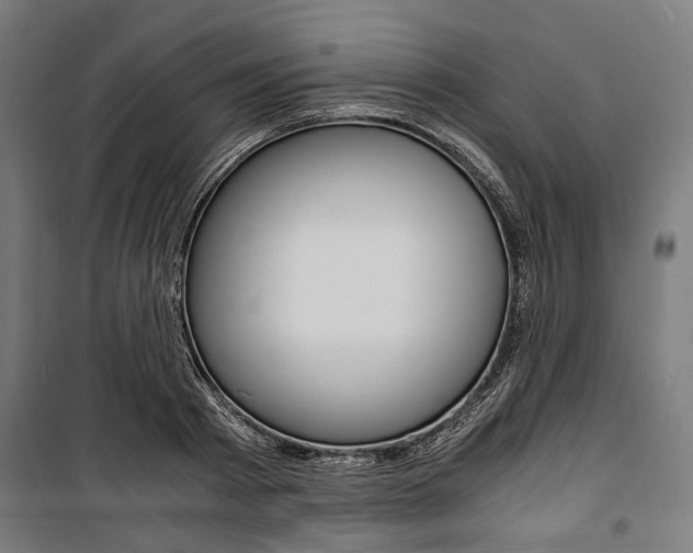 X0000100880793200806201145