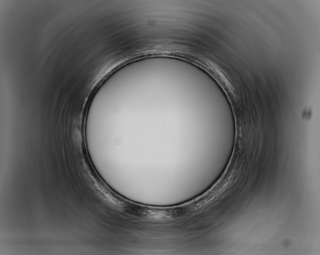 X0000100880794200806201145