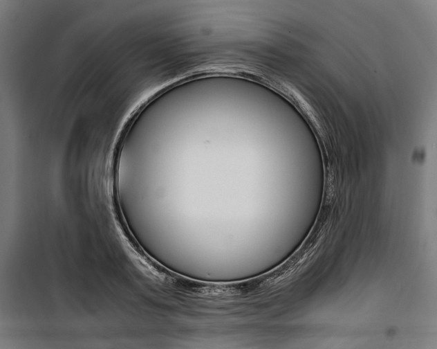 X0000100880795200806201145