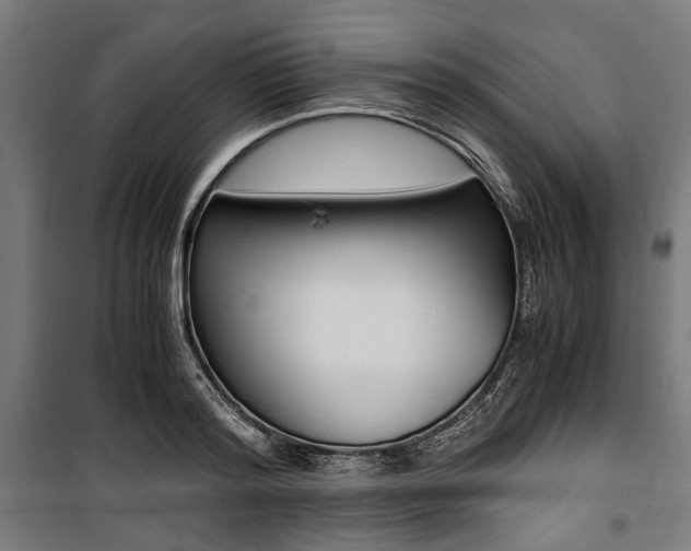 X0000100880796200806201145