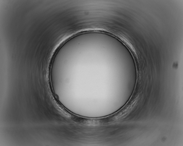 X0000100880797200806201145
