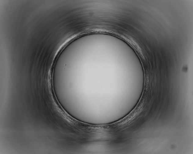 X0000100880798200806201145